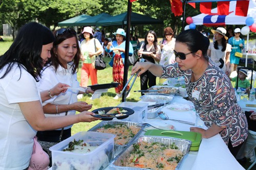 “Ngày Gia đình ASEAN” ở New York - ảnh 1